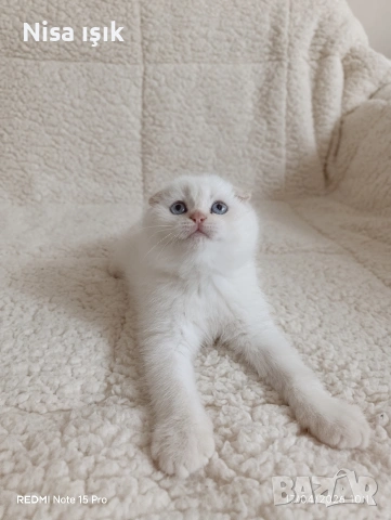 последния красавец в Хасково побързайте