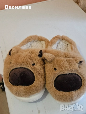 пантофи Капибара , снимка 6 - Пантофи - 52680062