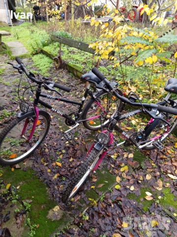 Велосипеди, снимка 3 - Велосипеди - 52585779