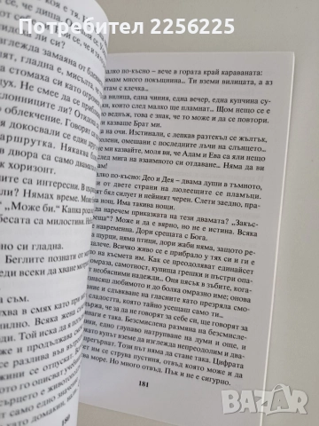 Съвършената - Преподобна Стойна неканоничната светица , снимка 4 - Художествена литература - 55816739