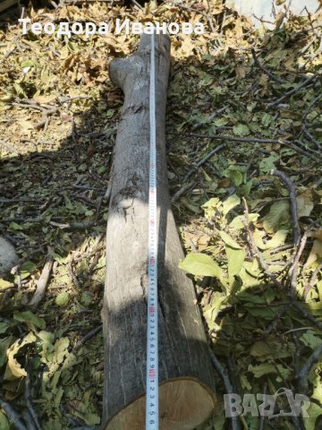 Орехов материал , снимка 9 - Дърводелски услуги - 34289041