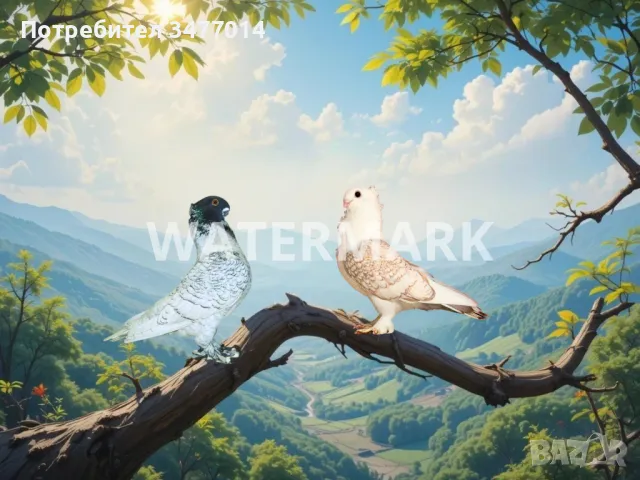 Картина с две гълъбчета, природа