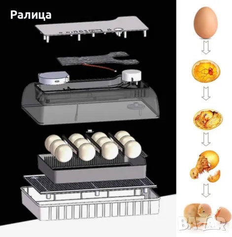 Инкубатор за яйца, снимка 4 - За птици - 48950985