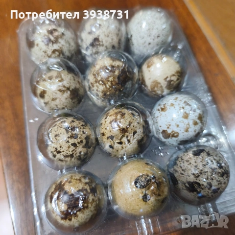 яйца от пъдпъдъци 