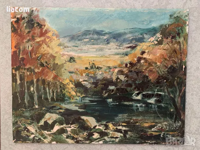 ЕВГЕНИ ТОМОВ масло/картон, снимка 1