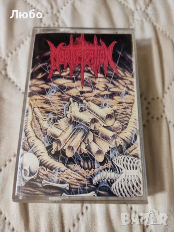 Mortification-Scrolls of the Megilloth