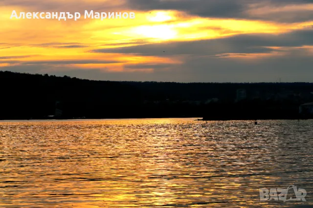 Фотограф събития, снимка 1