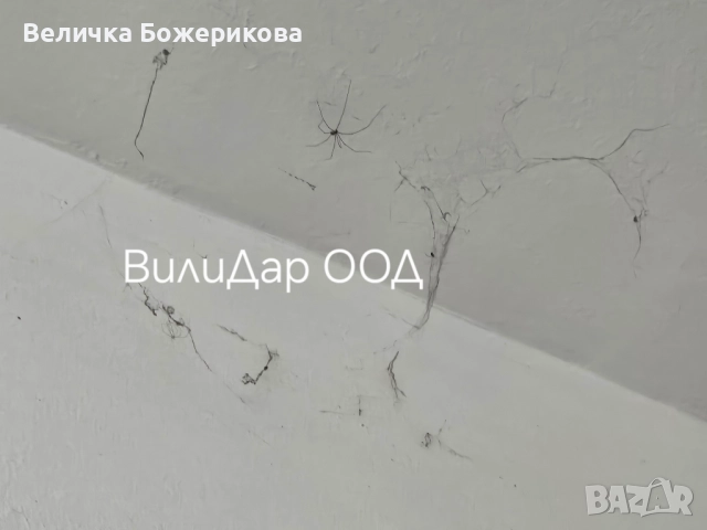 Почистване на входове 