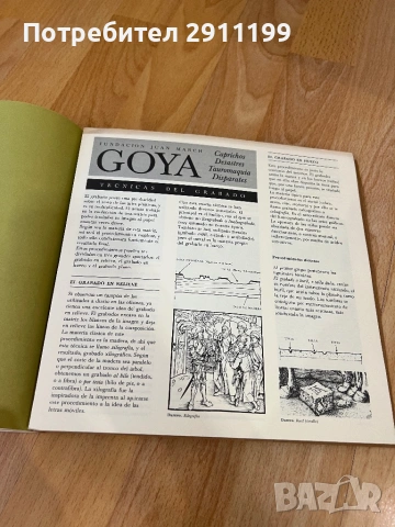 Книга за Гоя (Испански език), снимка 6 - Енциклопедии, справочници - 54242896