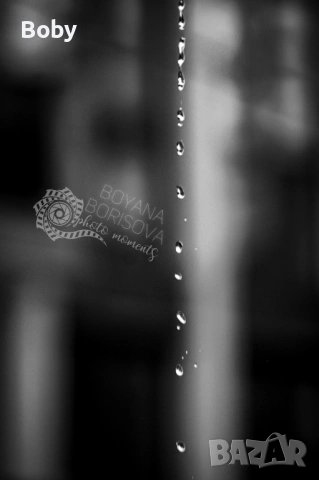 Принт за стена "Воден микрокосмос"