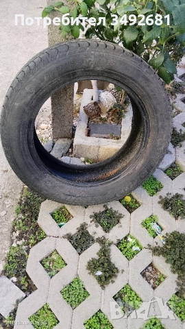 Продавам 1бр гума Корморан 205/55/16 и 1бр ДЪНЛОП 205/55/16 . КАРАНИ СА ПО 1000 КИЛОМЕТРА, снимка 6 - Гуми и джанти - 52320378