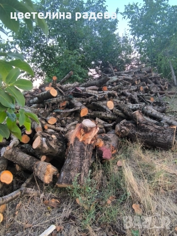 Дърва за огрев , снимка 2 - Дърва за огрев - 51626573