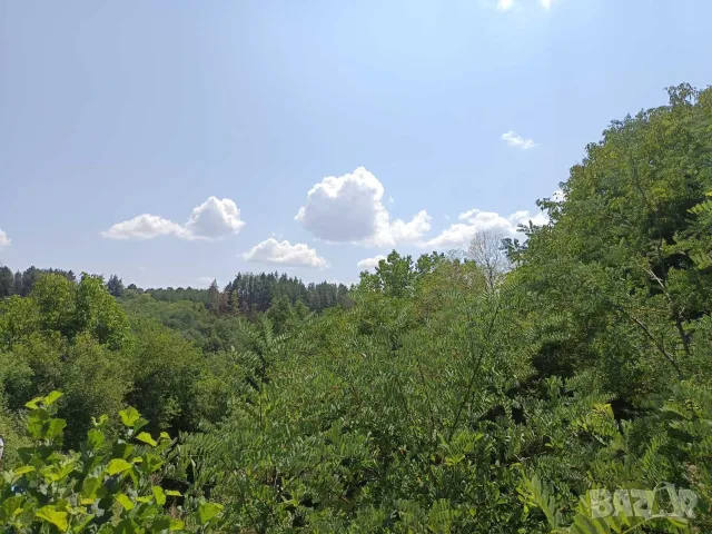 Продава красива плетена къща в с. Радуловци - на 35 км. от София, снимка 5 - Къщи - 56128420