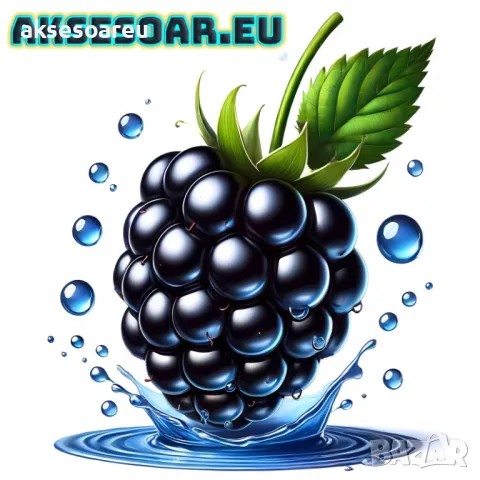 Нови 100 бр Висококачествени органични плодови семена от хранителна Къпина вкусни къпини антиоксидан, снимка 3 - Сортови семена и луковици - 50332727