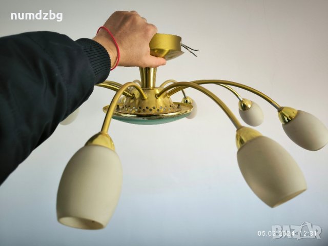 различни видове полилеи, снимка 14 - Полилеи - 44149964