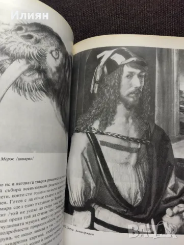 Цивилизацията-Кенет Кларк, снимка 8 - Художествена литература - 48665679