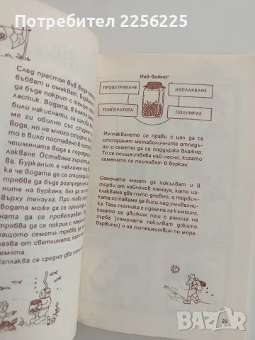 Покълнали семена. Млади поници., снимка 2 - Специализирана литература - 55811908