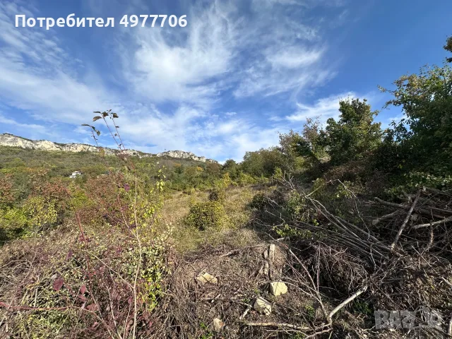 Къща ПАНОРАМА + 2 Парцела от СОБСТВЕНИК , снимка 10 - Къщи - 56481725