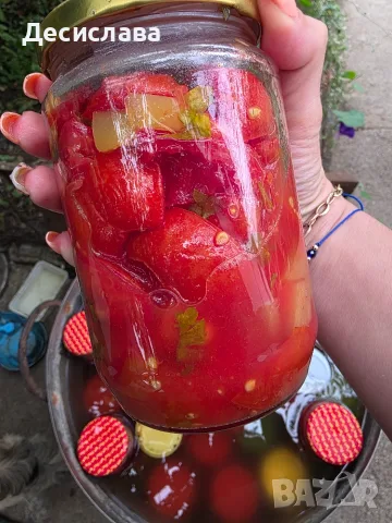 Домати Рома сорт Челси, снимка 8 - Домашни продукти - 55740077