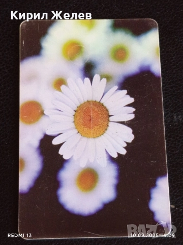 Две фонокарти БЕТКОМ, БУЛ ФОН тема ЦВЕТЯ ОРХИДЕЯ за КОЛЕКЦИЯ ДЕКОРАЦИЯ 42416, снимка 6 - Колекции - 51666283