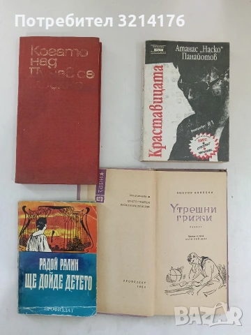 Ще дойде детето - Радой Ралин