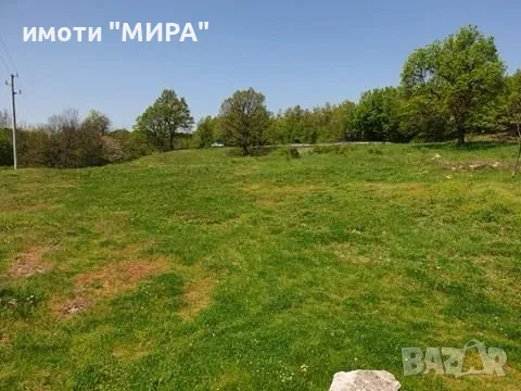 СТОПАНСКИ ДВОР в с. Козлец, обл. Хасково, снимка 5 - Парцели - 49435073