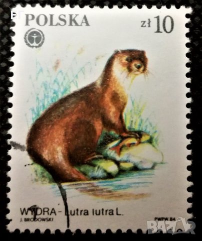 Полша, лот 1 - марки "Животни", 1*9, снимка 2 - Филателия - 31253506