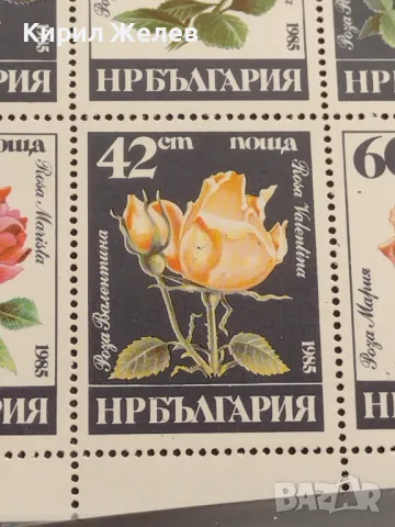 Пощенски марки чиста комплектна серия ЦВЕТЯ РОЗИ поща НРБЪЛГАРИЯ за КОЛЕКЦИОНЕРИ 46723, снимка 6 - Филателия - 47321137