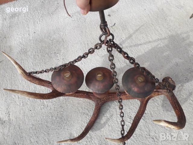 Баварски полилей от еленов рог уникат