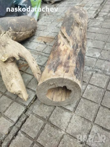 Пън, пънове, дънери с естествени дупки и без - за саксии, кашпи, декорация, снимка 18 - Саксии и кашпи - 27513634