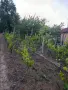 Продавам  вила., снимка 5