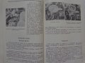 Инструкция за експлуатация на ВаЗ 2101/2102 Лада книга към колата на Български език, снимка 12
