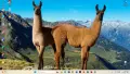 Продавам лаптоп HP 14s / i5 11th Gen / 16GB RAM / 256GB SSD / Win 11 Pro, снимка 15