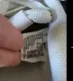 Найк Nike 38 н бели , снимка 3