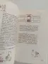 Покълнали семена. Млади поници., снимка 2