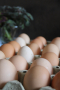 Домашни Яйца 0.50ст./бр, снимка 9