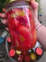 Домати Рома сорт Челси, снимка 8