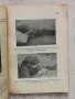 Бърза стрелба с руска винтовка, Ф. Я. Немцев, 1949 , снимка 2