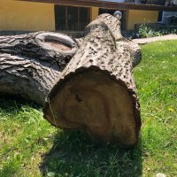 Орех дърво за материал-нарязан, снимка 1 - Други - 38083680