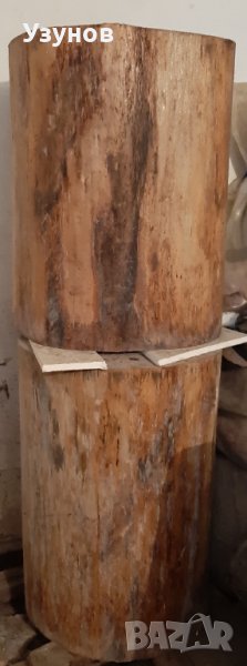 Букови пънове, снимка 1