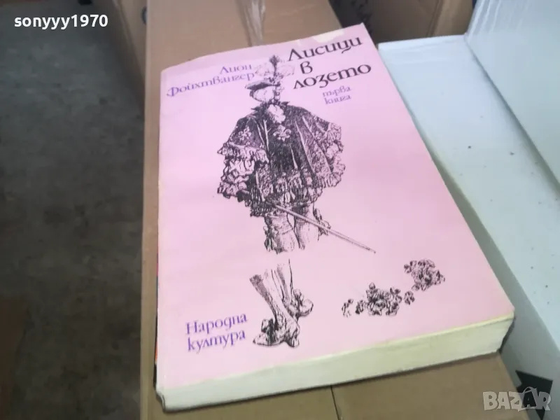 ЛИСИЦИ В ЛОЗЕТО 1302251810, снимка 1