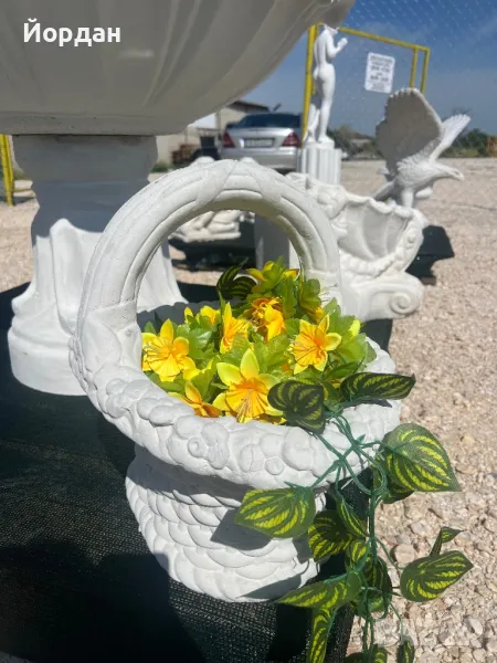 Градинска Кошничка  , снимка 1