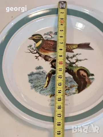 английска порцеланова чиния с птица Portmeirion  25/2, снимка 4 - Антикварни и старинни предмети - 50035353