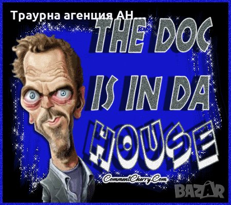 Евтаназия на домашни любимци 