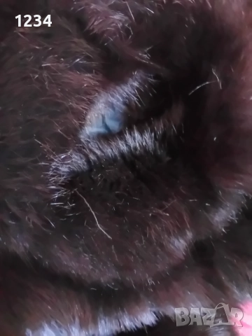 Разкошно дълго палто от черна лисица бутиково/Разкроен модел с вталяване и , снимка 9 - Палта, манта - 52524109