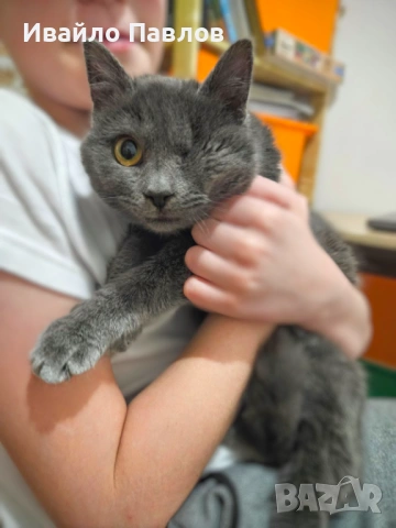 Ема търси своя човек – в София