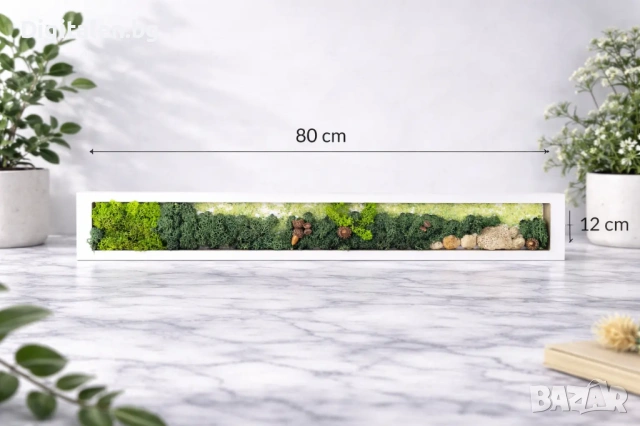 Хоризонтална Жива Картина със скандинавски мъх 80х12 см - Decorio
