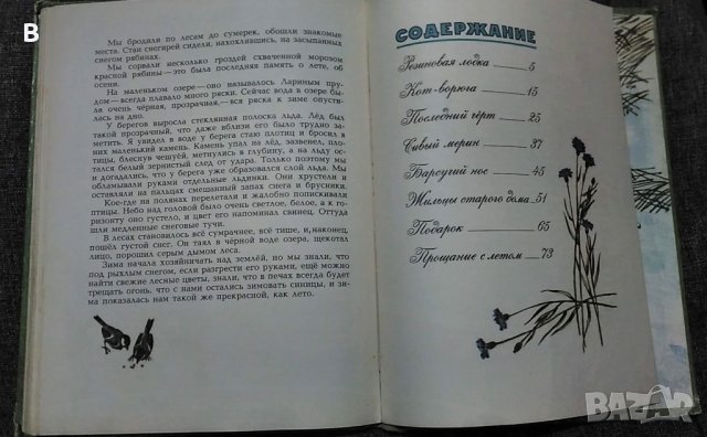 "Подарок"- разкази от К.Г. Паустовский на руски език, снимка 5 - Детски книжки - 35516917