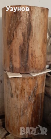 Букови пънове