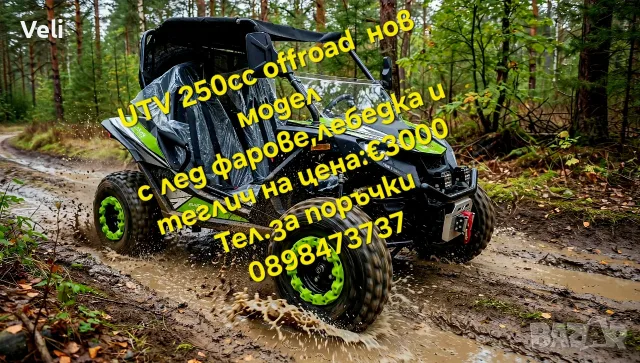 UTV-250cc с лебедка и теглич 